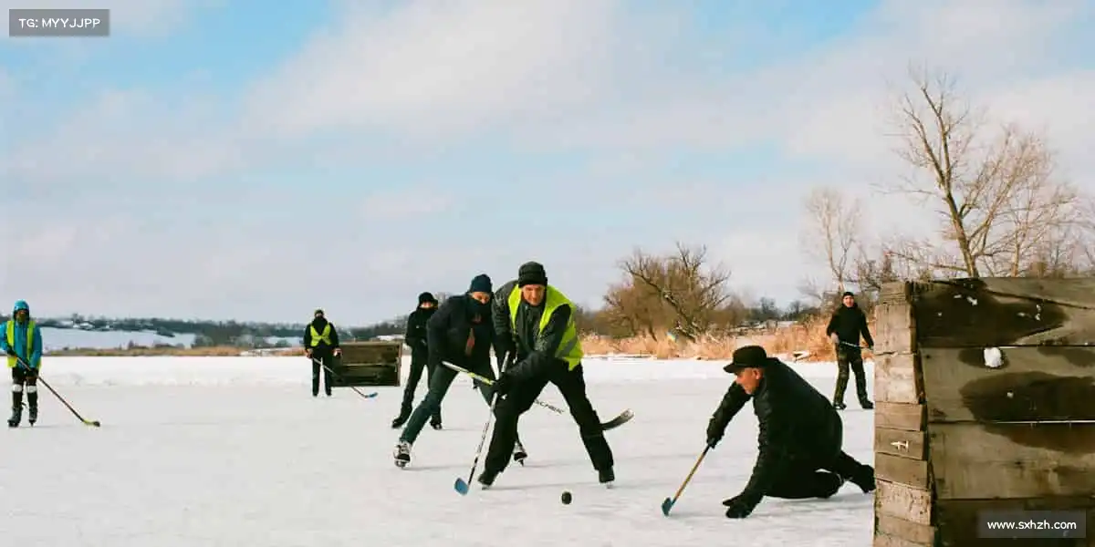 行业领先的理由